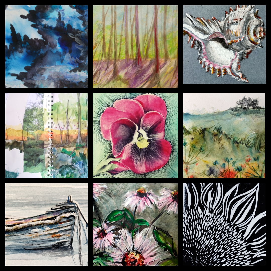 Face-to-Face Class: Adults Art class. Mixed media line and wash. Birds (Saturday 13th January 2024)